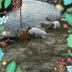 Meet your Posher, Barbara